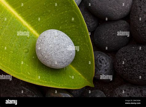 Round Smooth Pebble On A Green Leaf With Drops Of Water Zen Style