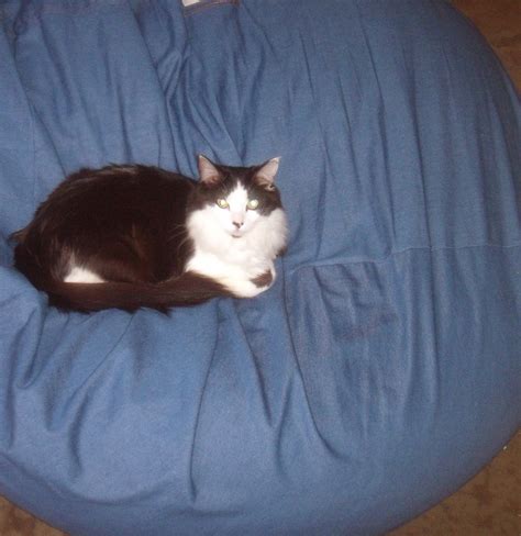 We did not find results for: Mommie of 2: The Bean Bag Chair Outlet Review