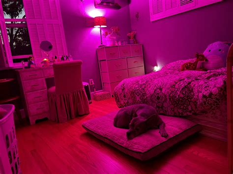 pink paradise💕 💕💕 r cozyplaces