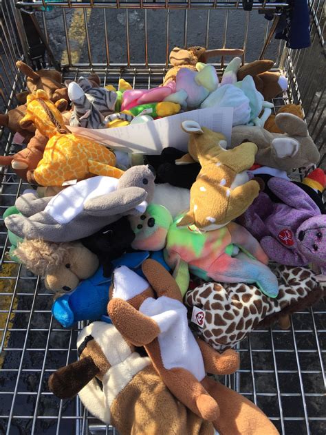 $4 Beanie Baby bonanza! My preschool class is gonna geek out (once I