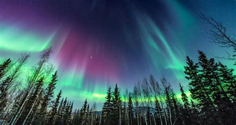 Northern Lights In Alaska Destinations And Tours