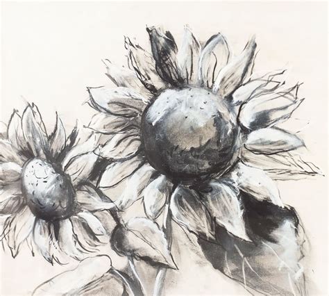 Charcoal Sunflower Sketch By The Artists Studio Pottery Barn