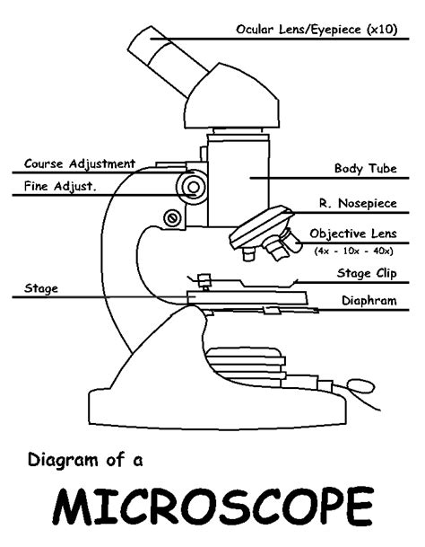 29 Labeled Diagram Of A Microscope Wiring Diagram List