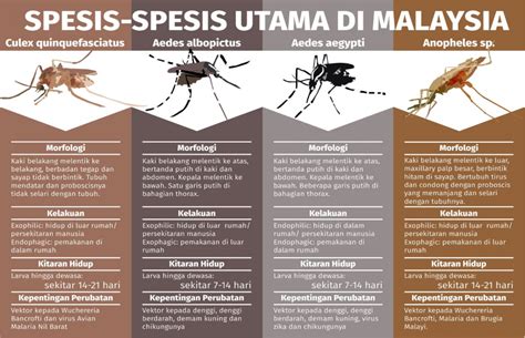 Permasalahan penyakit tidak berjangkit terutamanya penyakit kardiovaskular (cvd) yang mengancam kita dan dunia pada hari ini adalah amat serius dan membimbangkan. Apa itu Penyakit Bawaan Vektor? - Root of Science