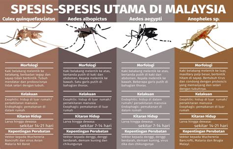 Penyakit jantung bawaan merupakan istilah umum untuk beberapa kelainan bentuk jantung yang contoh penyakit jantung bawaan di antaranya adalah: Apa itu Penyakit Bawaan Vektor? - Root of Science