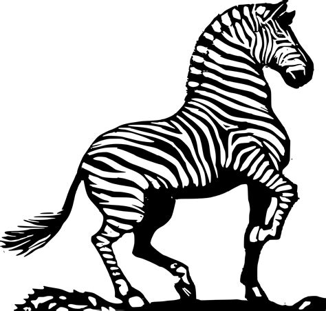 You can print or color them online at. Realistic Zebra Coloring Pages at GetColorings.com | Free ...