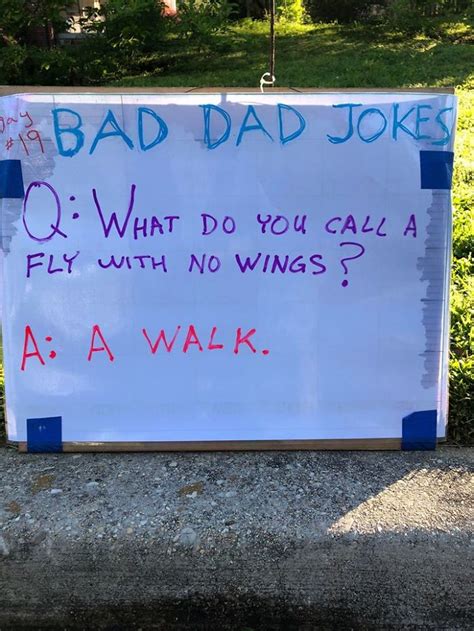 30 Dad Jokes That Are So Bad Theyre Good Gallery Ebaums World