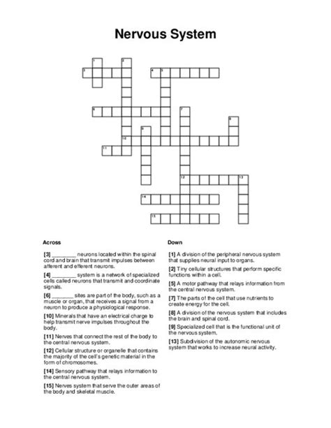 Crossword Puzzle Nervous System Answer Velvety Dreams
