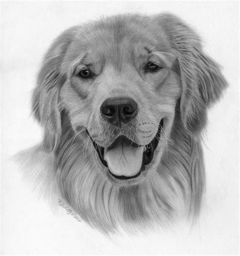 Supercoloring.com is a super fun for all ages: 8 best images about dog drawings on Pinterest | Wolves, Black and white tree and Realistic ...