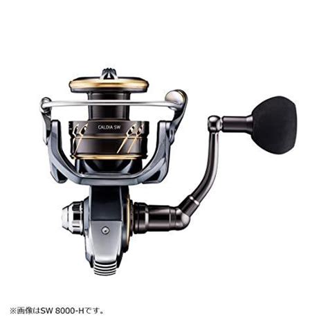 Daiwa Sw D H Nsi E A Bc