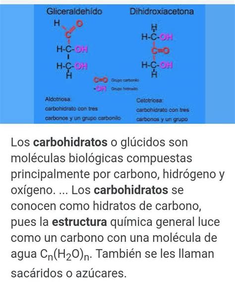 Estructura Y Funcion De Carbohidratos Brainlylat