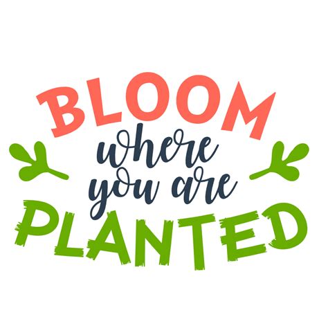 Bloom Where You Are Planted Spring Free Svg File Svg Heart