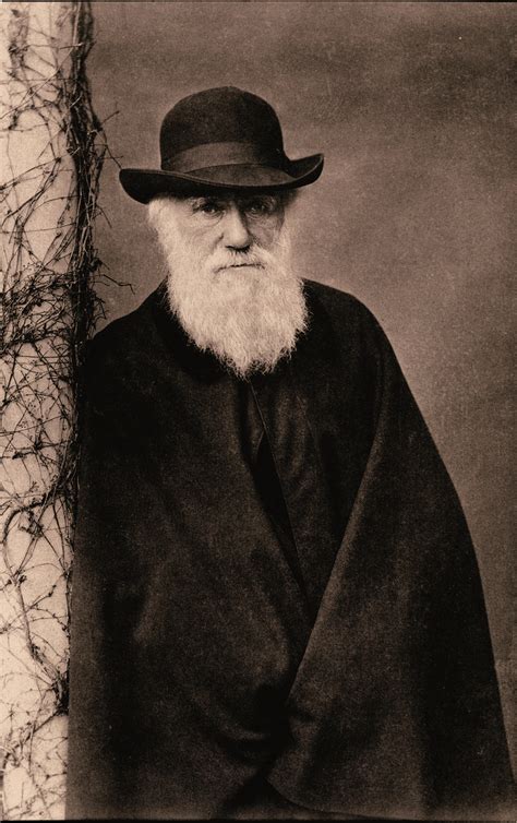 Darwin Und Seine Theorie Der Natürlichen Selektion