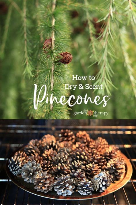 Homemade Scented Pinecones And A Pretty Diy Diffuser Scented