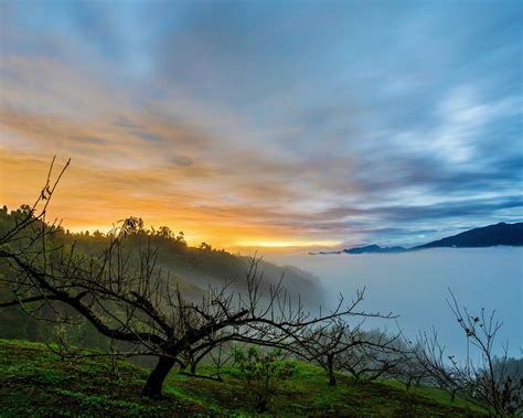 Wallpaper Morning Fog Trees Sunrise Lake Clouds 1920x1200 Hd