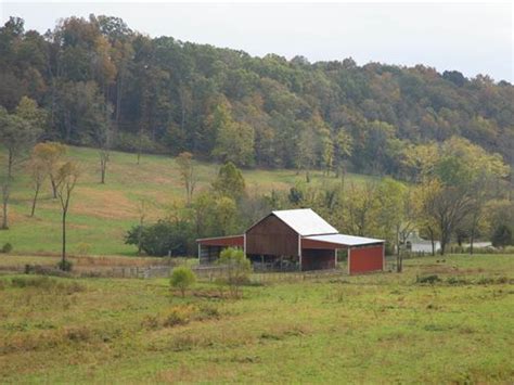Tennessee Cattle Farms For Sale Cattle Farmland For Sale Farmflip