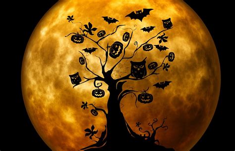 Halloween Árvore Coruja Imagens grátis no Pixabay