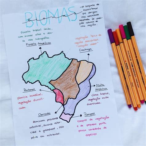 Mapa Mental De Biomas Ictedu