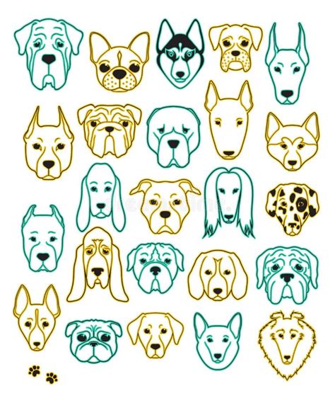 Set Of Sketches 24 Dogs Different Breeds Handmade Head Dog Stock