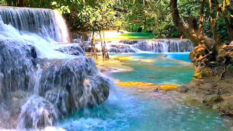 Waterfall And Jungle Sounds 2 Relaxing Tropical Rainforest Nature