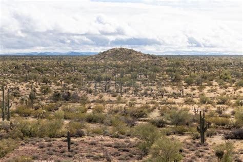 Arizona Desert Scene Stock Image Image Of Rock Brush 175999115