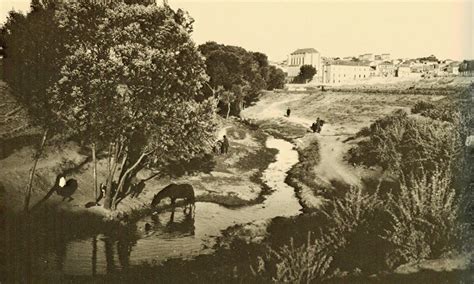 Kısaca memur 2000 yılında 237 litre alabilirken 2012 yılında 346 litre alabiliyor. 2000 Yılında Dünya Nasıl Olacak? - 25 Eylül 1934 - Hafzullah