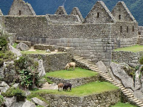 Machu Picchu Maravíllate Con Este Tesoro Inca En Perú