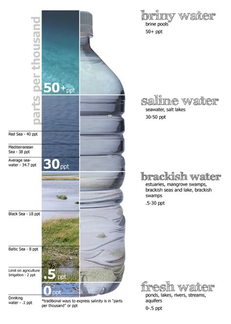 Brackish Water Wikiwand