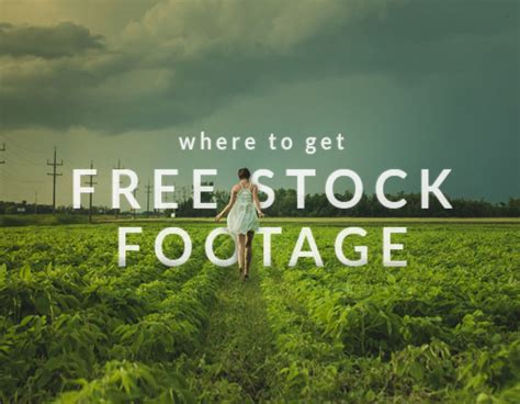 Where To Get Free Stock Footage | Biteable