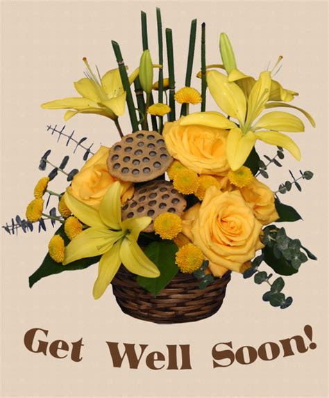 What Color Are Get Well Soon Flowers Best Flower Site