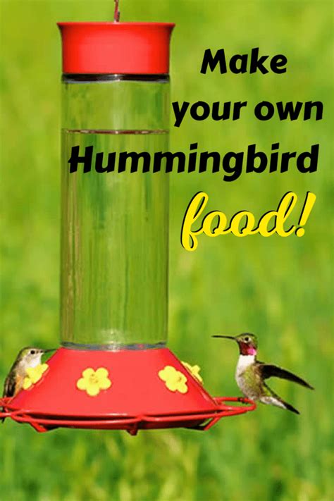 Easy 2-ingredient homemade hummingbird food recipe