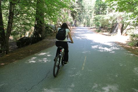 Free Stock Photo Of Girl Riding Bicycle On Forest Path