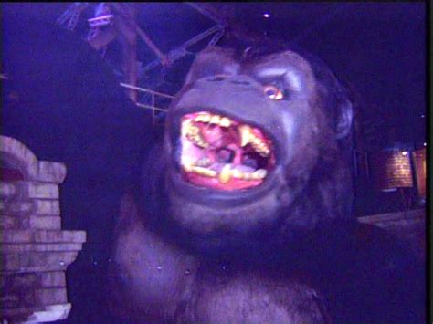 Rumor Round Up For Feb 22 2013 King Kong At Ioa Avatarlands Future