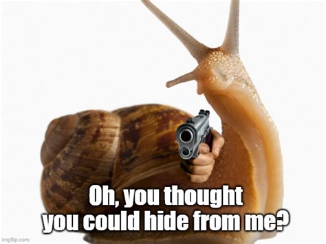 Immortal Snail Rmemes