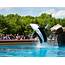 Marineland  Killer Whale Show At Friendship Cove 16 Flickr