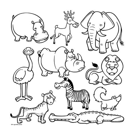 Wild Animals Coloring Pages 28 Printable Drawings