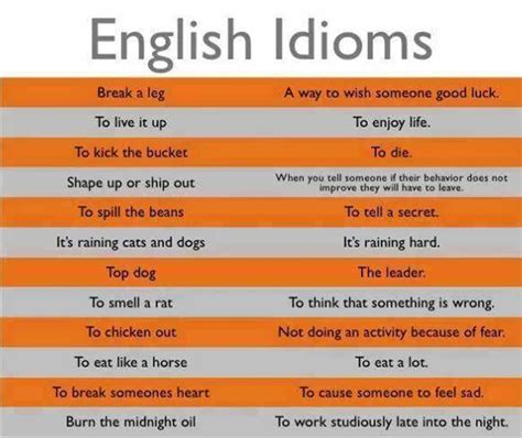 50 Most Useful Idioms And Their Meaning Eslbuzz