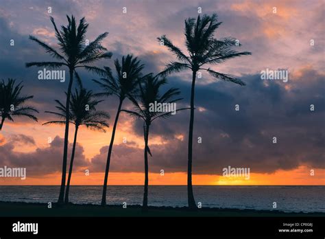 Sunrise At Kapaa Beach Park With Palm Trees East Coast Kauai Hawaii