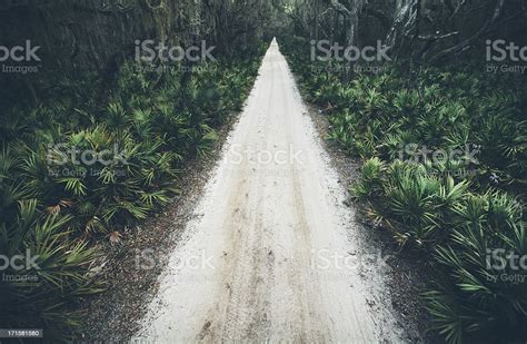 A Sandy Rural Road Running Through Wooded Coastal Area On Cumberland