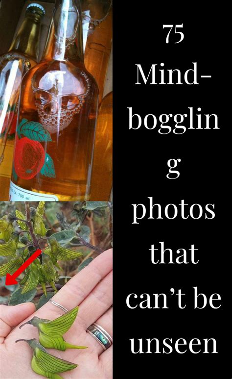 75 Mind Boggling Photos That Cant Be Unseen Magic Tricks Fun Facts