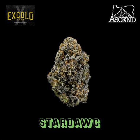 Stardawg Ascend Cannabis Dispensary