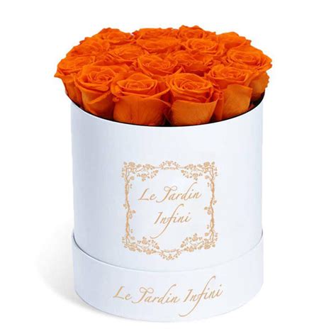 Orange Preserved Roses Medium Round White Box Le Jardin Infini