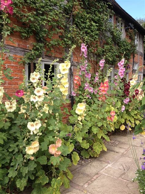Cottage gardening is a very popular both in england and the us. The Best Perennial Plants for Cottage Gardens - Gardening ...