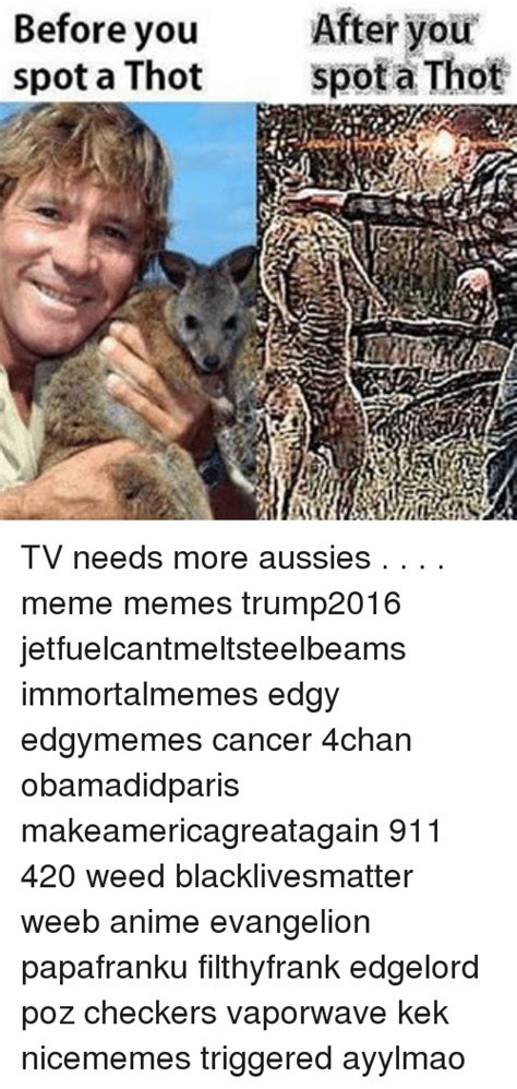 Before You After Your Spot A Thot Spot A Thot Tv Needs More Aussies Meme Memes Trump