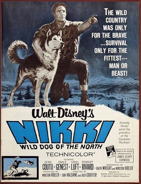 Nikki Wild Dog Of The North 1961 Jean Coutu Etsy