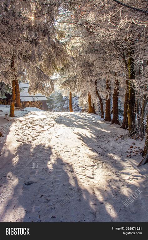 Sunny Winter Morning Image And Photo Free Trial Bigstock