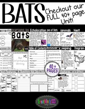 Bats are not one of the most lovable creatures in the world. Bat Informational Unit FREEBIE by GreatMinds123 | TpT