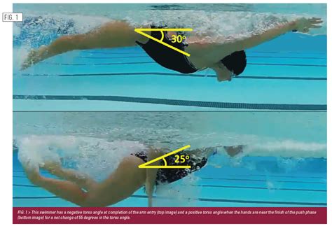 Swimming Technique Concepts Development Of An Optimal Model For Technique