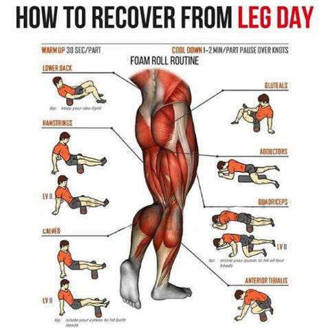 How To Recover From Leg Day Big Strong Legs Workout Exercise Foam Roller Foam Roller