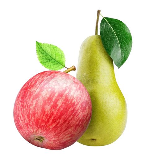 Apple And Pear Isolated On White Background Stock Image Image Of